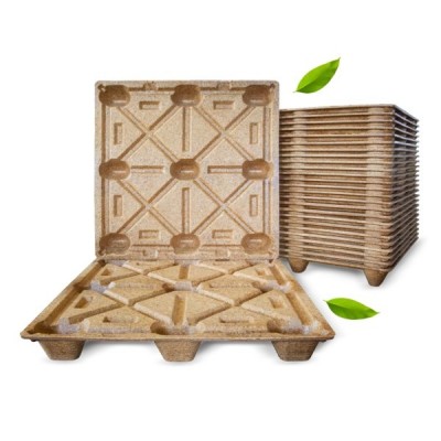 Câu hỏi thường gặp