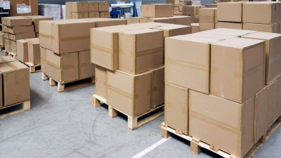 Khám Phá Các Loại Pallet Phổ Biến Nhất & Ứng Dụng Trong 2025