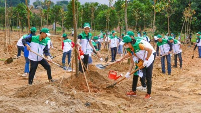 Các Biện Pháp Bảo Vệ Môi Trường Doanh Nghiệp Cần Biết