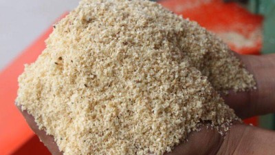 Mùn cưa gỗ là gì? Định nghĩa, đặc điểm và ứng dụng phổ biến