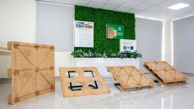 Hướng Dẫn Chọn Pallet Xuất Khẩu Chuẩn ISPM-15: Gỗ hay Nhựa, Kích thước