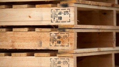 Pallet miễn hun trùng: Điều kiện, lợi ích & quy định cần biết trước khi dùng