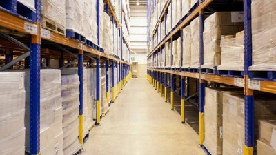 Pallet tải trọng cao: So sánh nhựa và gỗ, hướng dẫn cách chọn đúng