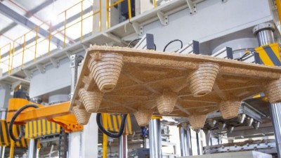 Pallet xanh là gì? Ưu điểm, ứng dụng và địa chỉ cung cấp uy tín tại Việt Nam