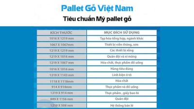 Tiêu chuẩn pallet gỗ xuất khẩu: Kích thước, chất liệu và quy trình chi tiết