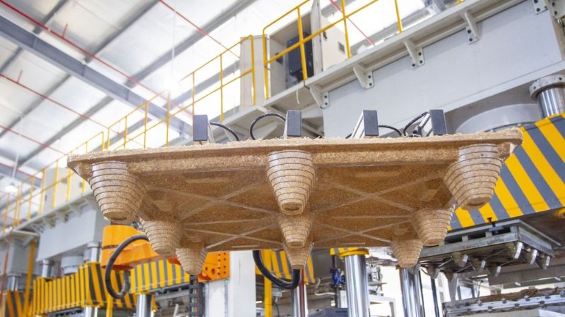 chọn loại pallet cho xe nâng stacker​