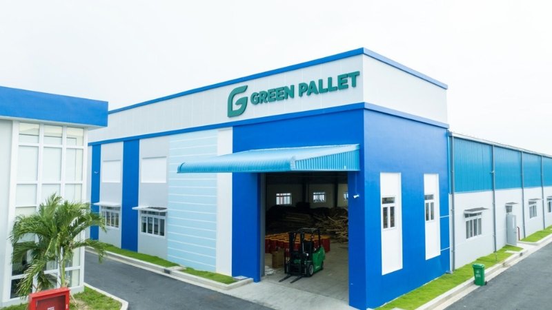 chọn loại pallet cho xe nâng stacker​