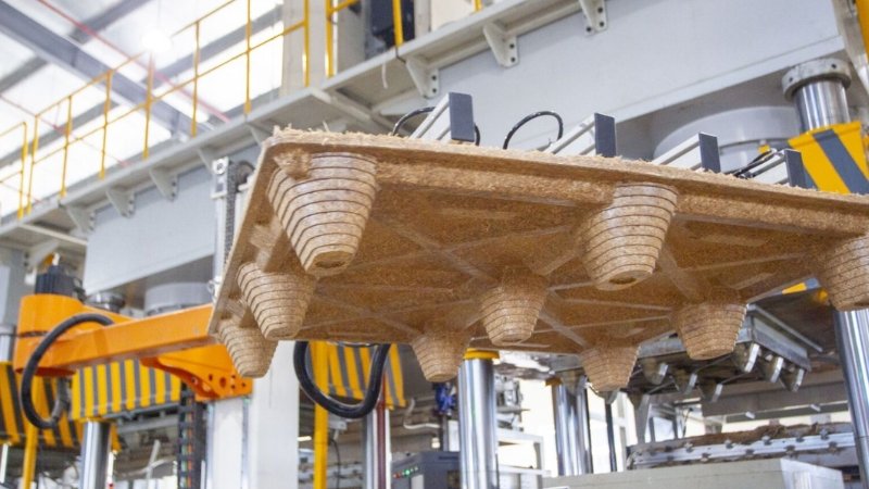 công ty pallet gỗ