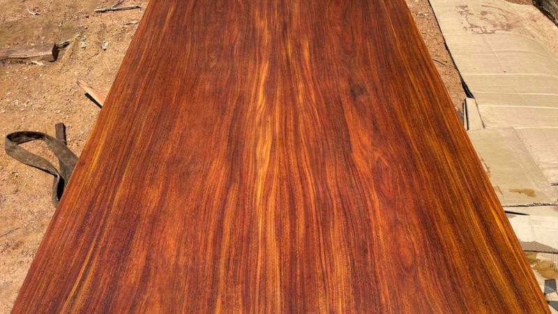 gỗ nào bền nhất