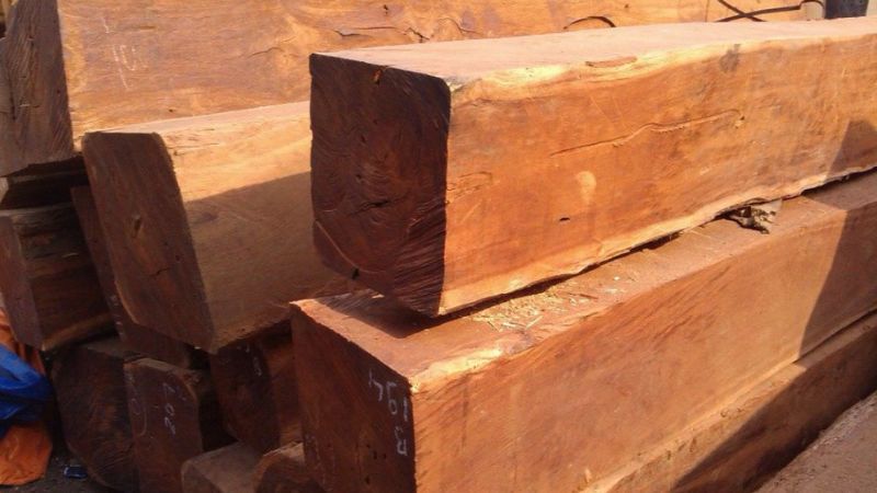 gỗ nào bền nhất