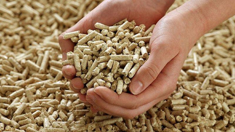 mùn cưa gỗ là gì​