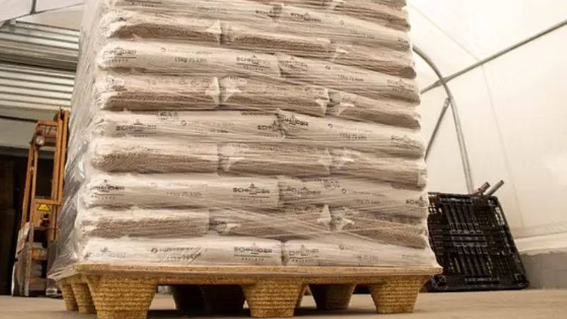 pallet thân thiện môi trường